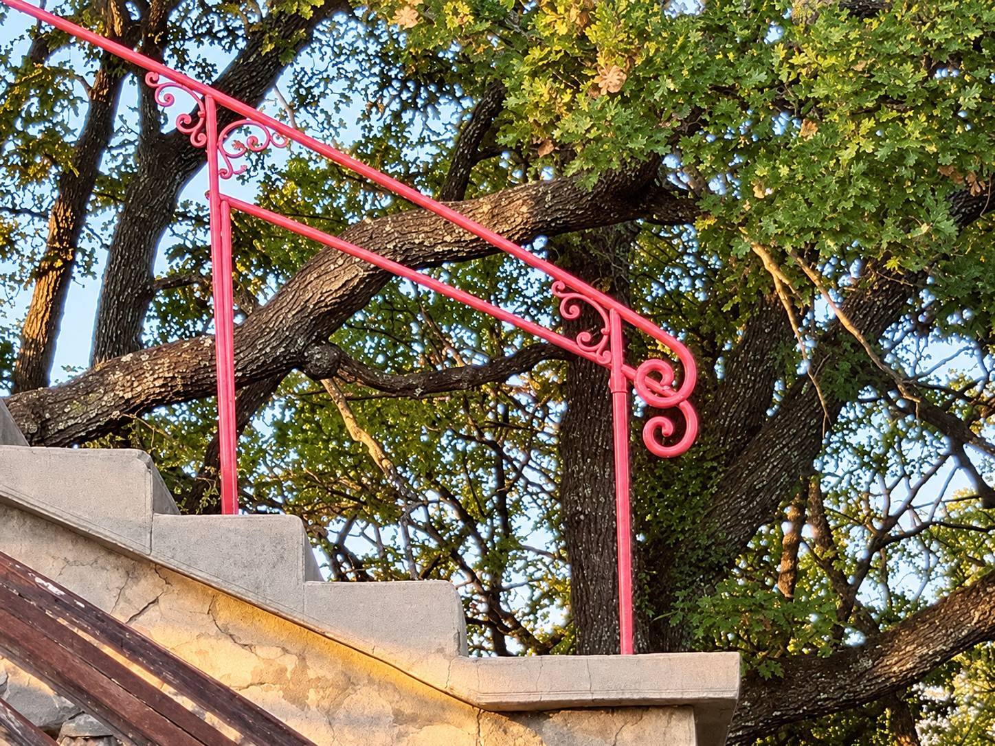 Une rampe en fer forgé peinte en rose avec des volutes décoratives longe un escalier en pierre, devant un grand arbre au feuillage dense.
